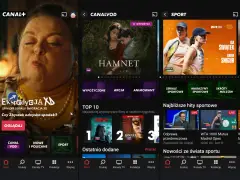 Telewizja internetowa ranking: aplikacja Canal+ oferuje filmy, seriale i sport. Zobacz TOP 10 najchętniej wypożyczanych tytułów.