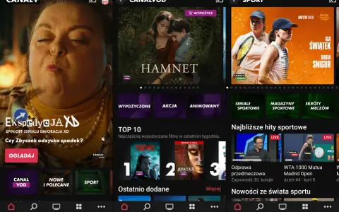 Telewizja internetowa ranking: aplikacja Canal+ oferuje filmy, seriale i sport. Zobacz TOP 10 najchętniej wypożyczanych tytułów.